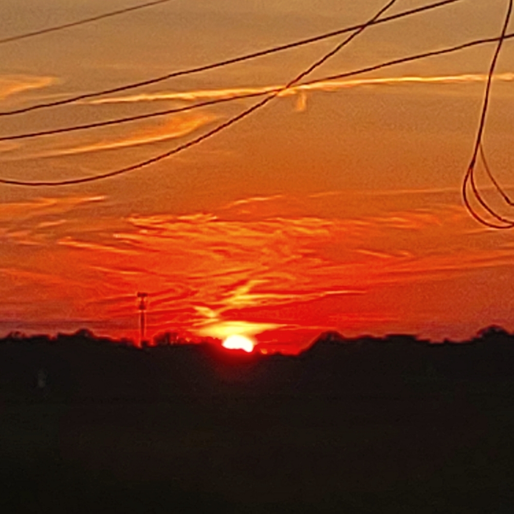 Sunset Art